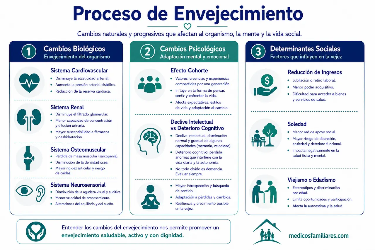 Infografia sobre los cambios biologicos psicologicos y sociales del envejecimiento