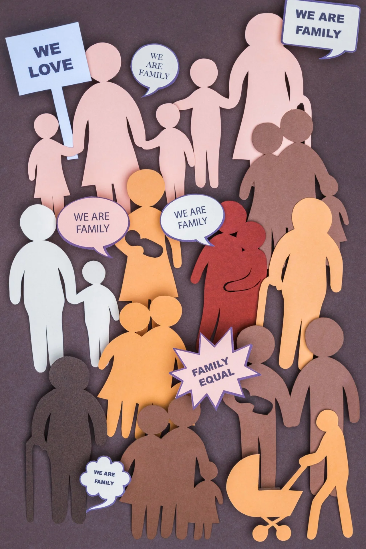 Diversidad y clasificación de las familias en medicina familiar
